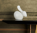 Ivory Rabbit (White)
